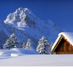 forever winter