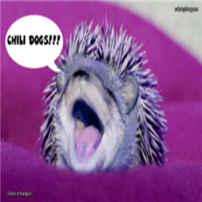 Sonic wants chili dogs Roblox decal