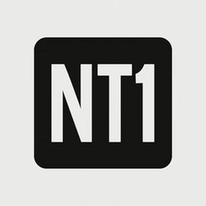 NT1 Roblox group icon