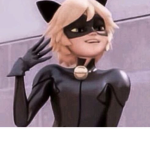 Chat Noir and Ladybug fan group