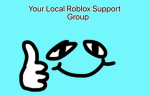 Your Local Roblox Support Group