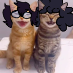 fãs de jojo esquisitos