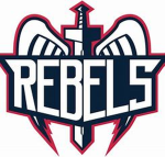 Rebel Knights