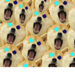 crazy doge!