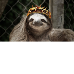 The sloth fan club!