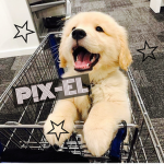 P!X-EL