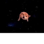 floofy boi studios