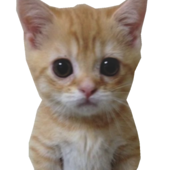 Survive EL GATOOOO