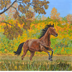 - Silver Meadow Thoroughbreds -