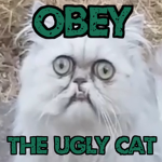 Ugly Cat