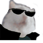 Sussy Cat Gaming