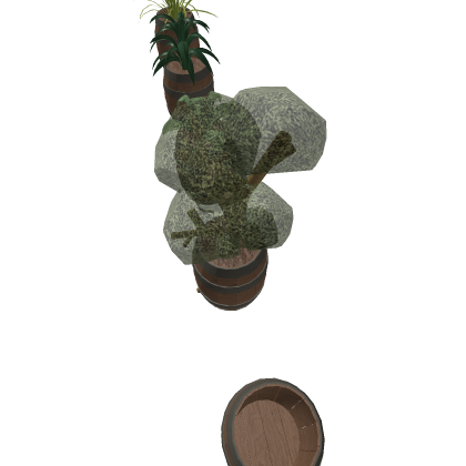 Barrels