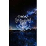 The World of Magic And Muggles