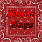 Bronx Boys