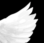 100 wings Group Thumbnail