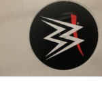 WSC fan group