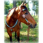 Sunset Meadows Riding Academy!