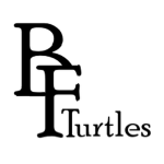 Big Fat Turtles