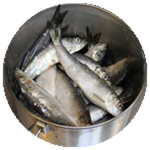 10 Fish