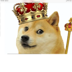 The Doge honor group