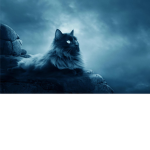 warrior cats roll play