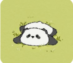 Panda Fan Club! Pandas for life