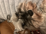 Laurenie989 Yt group