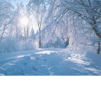 Heaven Of Beautiful Snow