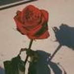 +-Bloomyns-+