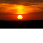 Serenity (A RoBurg State)