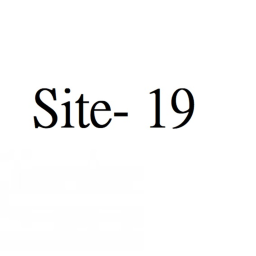 Site 19