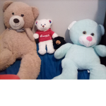 King bears are cute