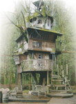 Tree House