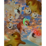 DOGEEEEEEEEEEEEEEEEEE