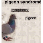 Birdneck