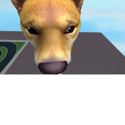 Doge land