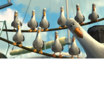 Bird is Word