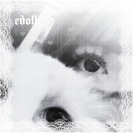 edoll.