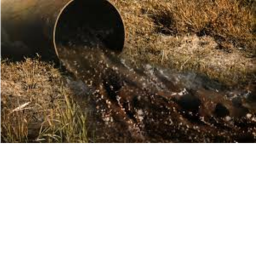 The Sewer