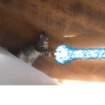 kameowhameowhaaaaaaa