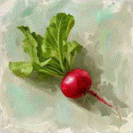 RADish incorporated
