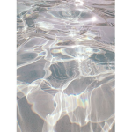 ¢α$н ∂σℓℓѕ