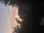 Only_summer vibes