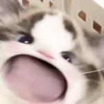 hi im bored pls join
