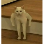 MilkGangOnly