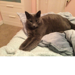It’s Luna
