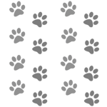 ***Kitty community***