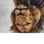 Leothelionking