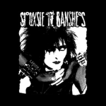 SIOUXSIE N THE BANSHEES