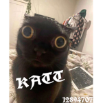 ez katt